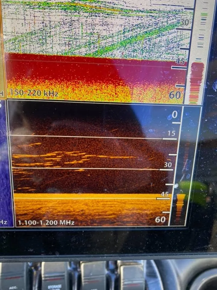 2D sonar and down imaging showing suspended crappie over a deep basin