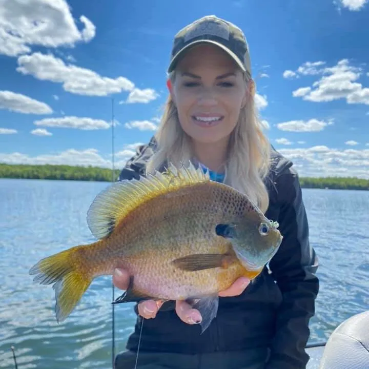 The Livebait Combo – 5 Ways to Rig Soft Plastics for Crappie & Bluegill