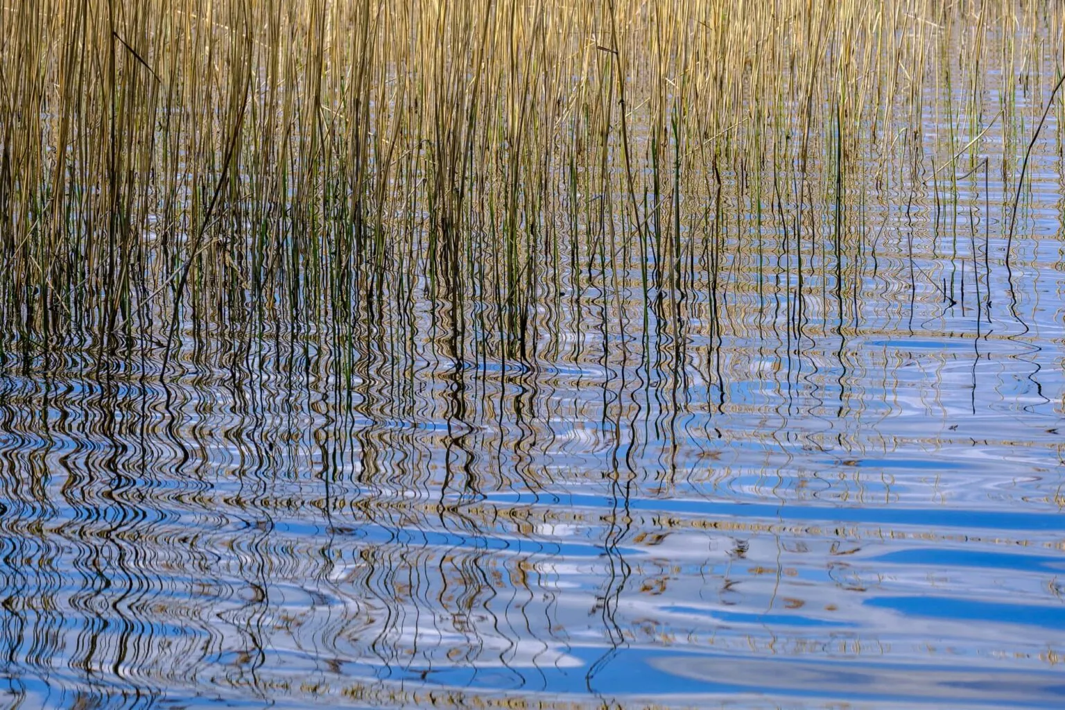 Prepare to Fish SHALLOW – Early Spring Crappie Fishing: Tips, Spots & Gear