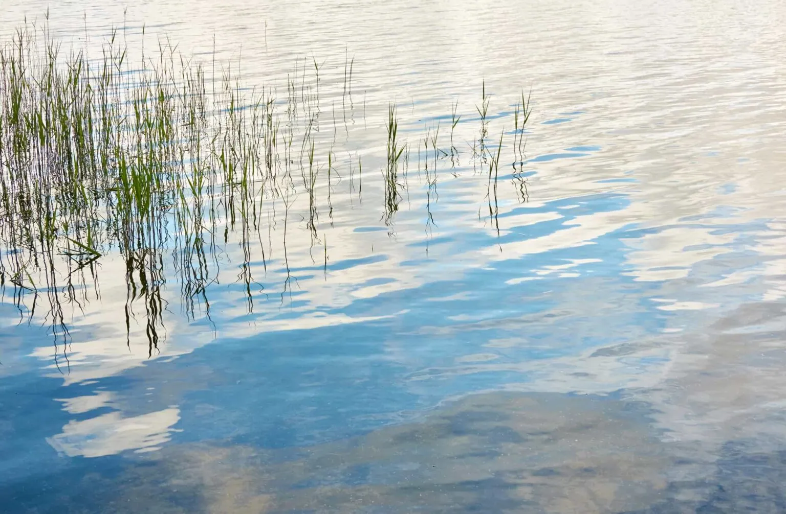 Prepare to Fish SHALLOW – Early Spring Crappie Fishing: Tips, Spots & Gear