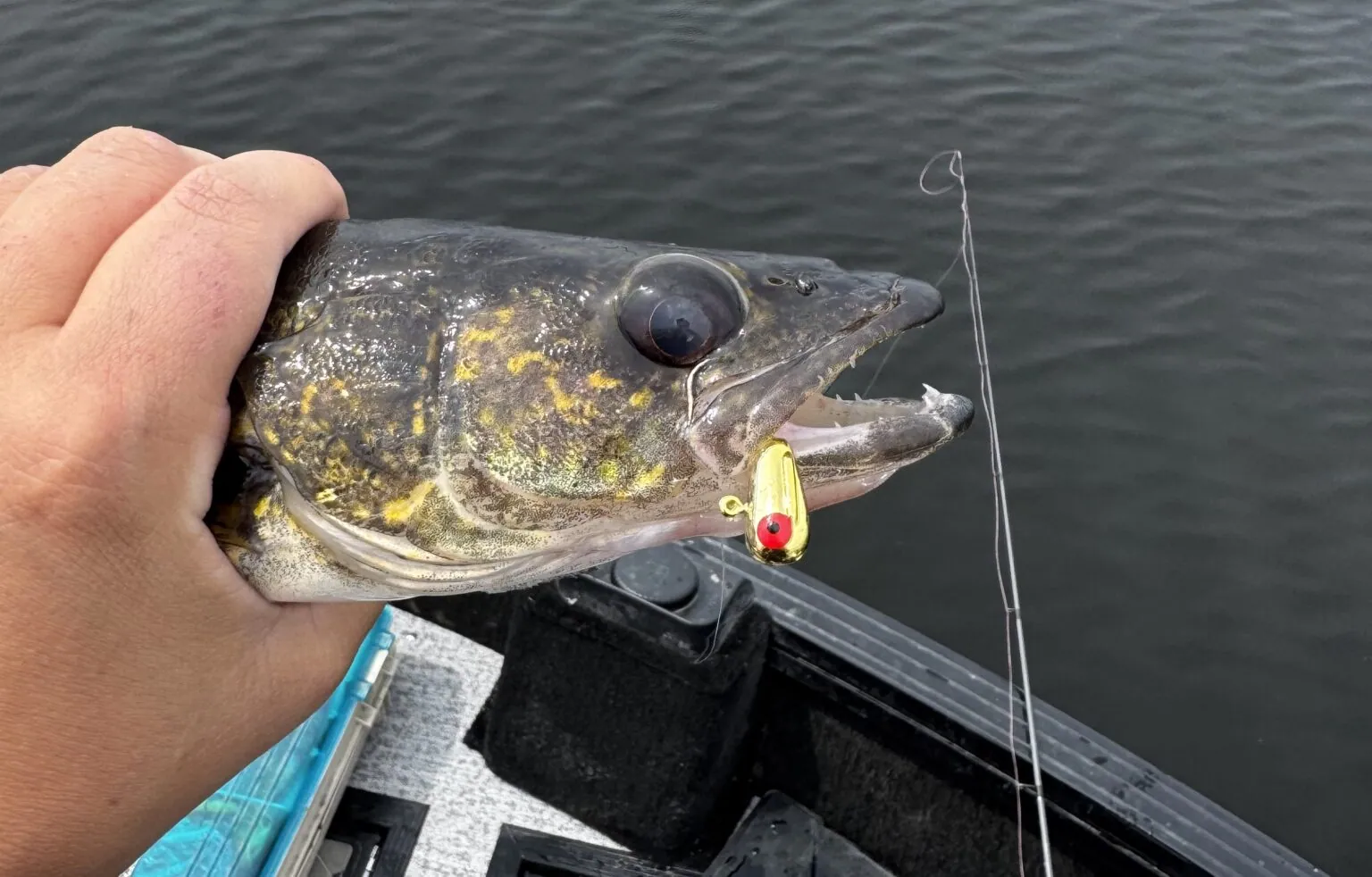 Gear and Presentation For Your Perfect Ontario Fishing Trip